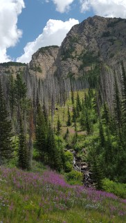 Hart of Montana Consulting