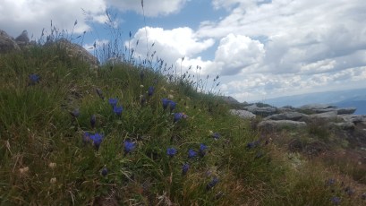 Hart of Montana Consulting Inc.